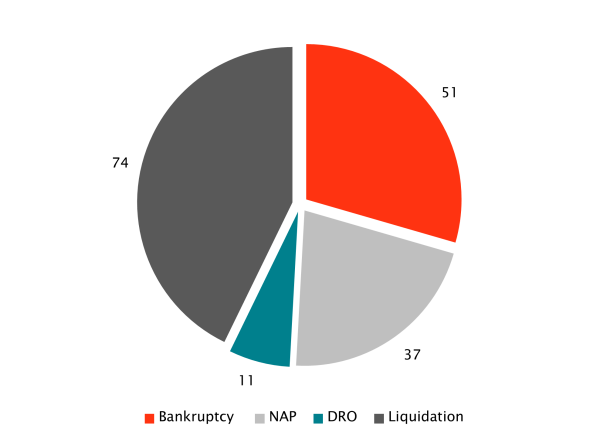 Chart image showing the Insolvency procedures, including bankruptcy, No Asset Procedures, Debt Repayment Orders, and Liquidations.