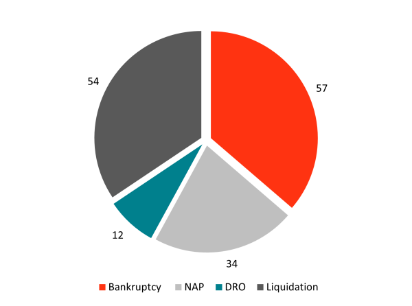 Chart image showing the Insolvency procedures, including bankruptcy, No Asset Procedures, Debt Repayment Orders, and Liquidations.